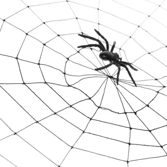 Imagem ilustrativa de Dedetização contra aranhas